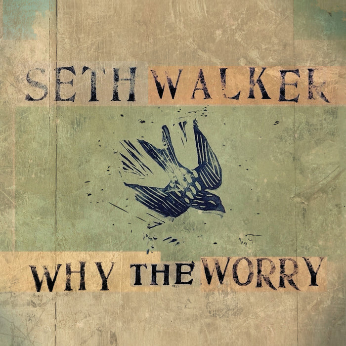 Seth Walker - Why The Worry - RPF2504