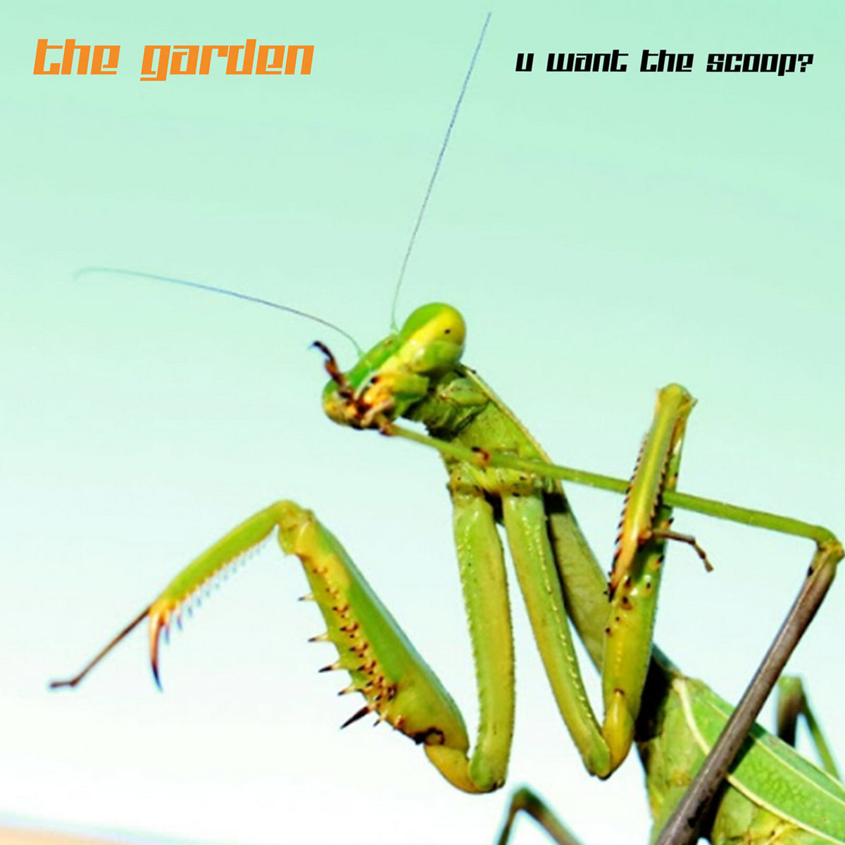 The Garden - U Want the Scoop? - 875201