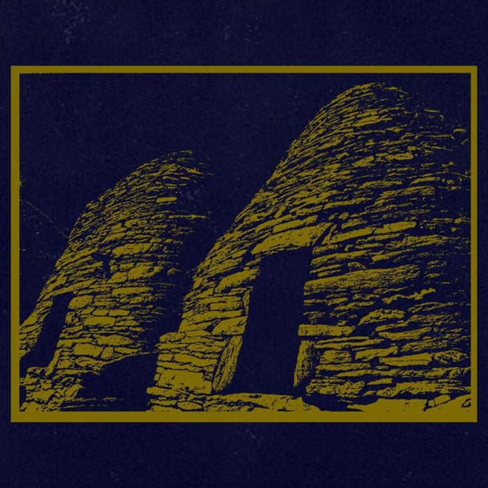 Belonging - Hollow Cells - DR013