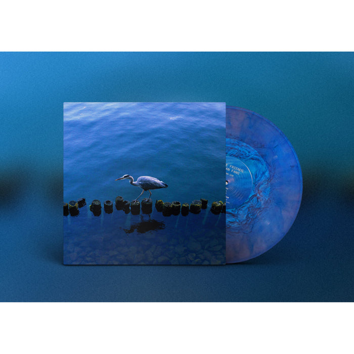 Various Artists - More Friends Than Fans - DR012