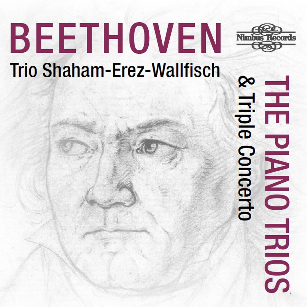 Trio Shaham Erez Wallfisch - Ludwig van Beethoven: The Piano Trios & Triple Concerto - NI1709