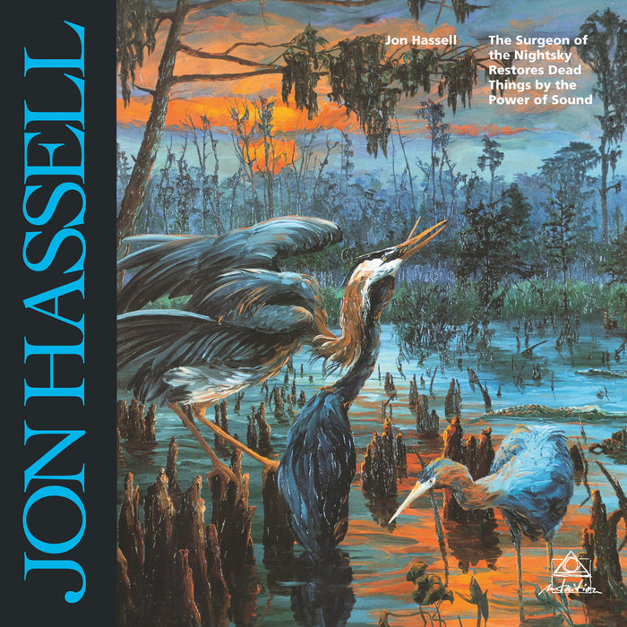 Jon Hassell - The Surgeon Of The Nightsky - INTLP30041