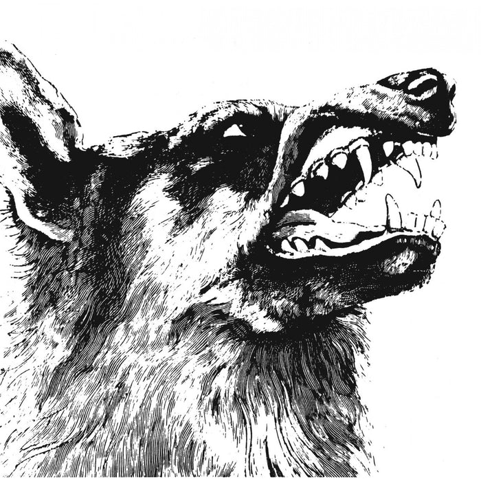 Crippled Black Phoenix - I, Vigilante - KSCOPE1269