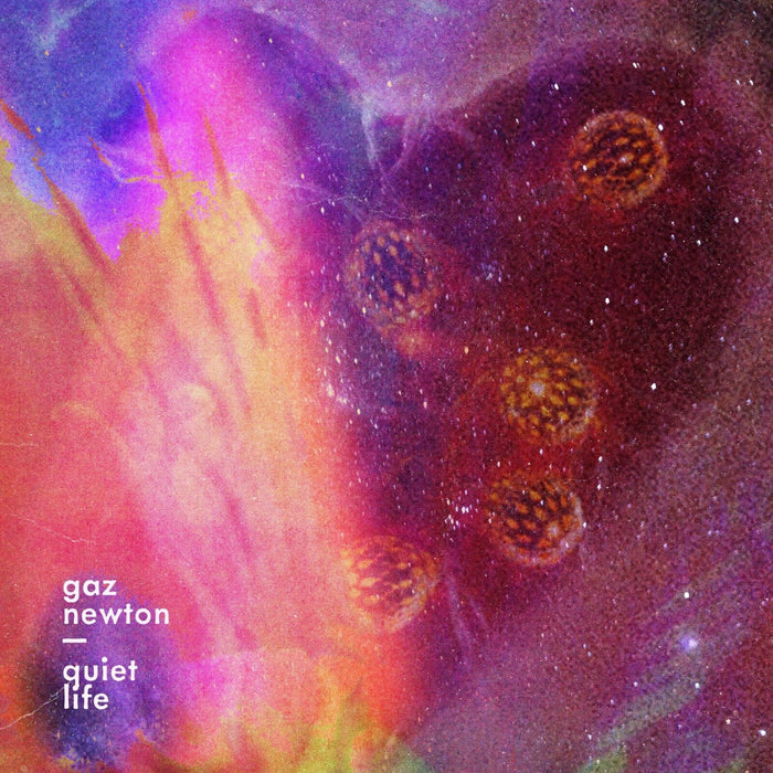 Gaz Newton - Quiet Life - MDREC044