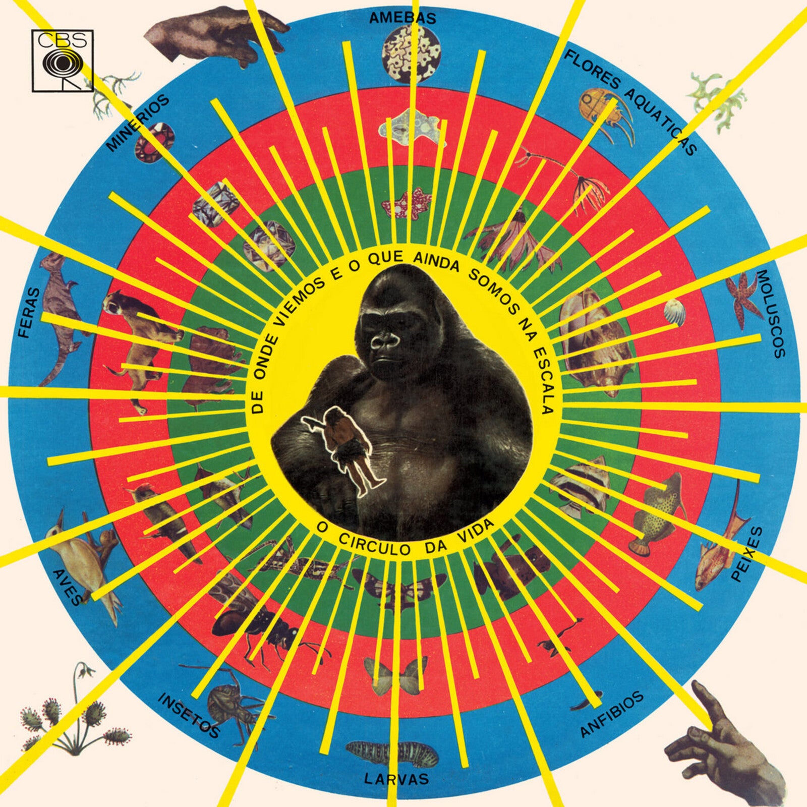 【新品未開封】SEU JORGE Carolina / CRU 2枚セット 5024017005525.jpg?v=1761584871