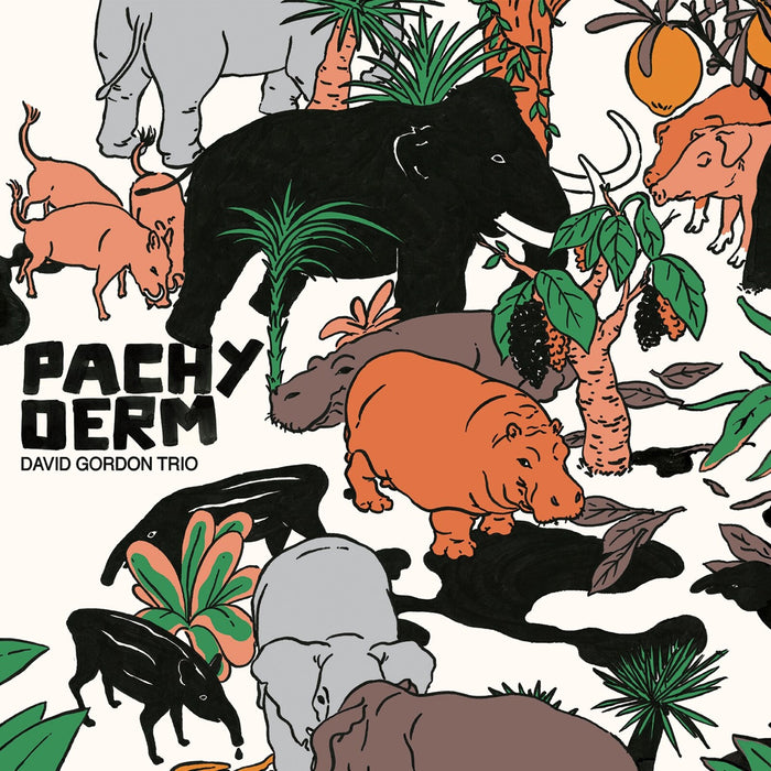 David Gordon Trio - Pachyderm