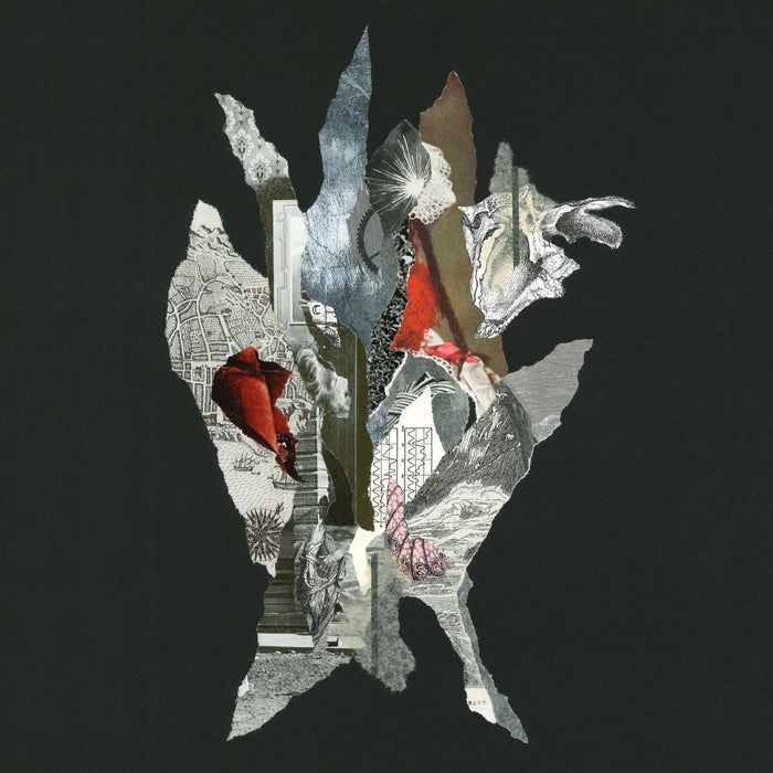 Alas de Liona - Gravity of Gold - DORCD1