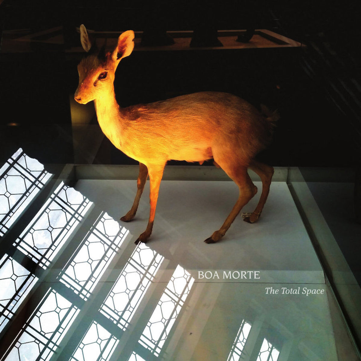 Boa Morte - The Total Space - GDNCD058