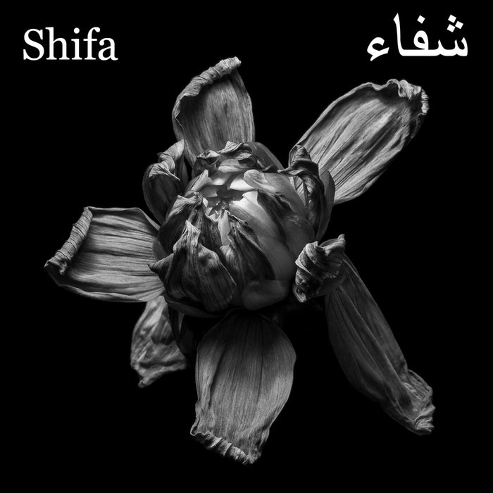 Shifa - Ecliptic - DISCUS194CD