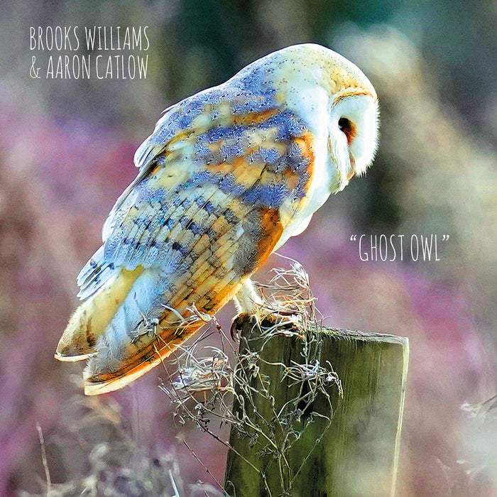 BROOKS WILLIAMS & AARON CATLOW - GHOST OWL