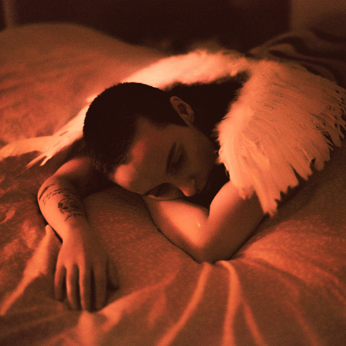 Sea Girls - Midnight Butterflies - ALTRECORDSCD01