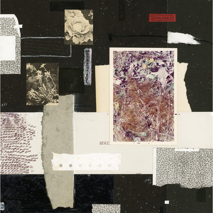 Hailaker - Serenity Now - AP124LP1