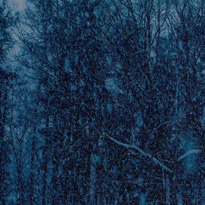 Jesu - Never EP (LP) - AREC048V
