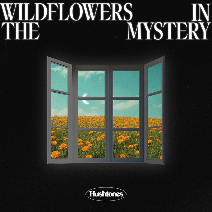 Hushtones - Wildflowers in the Mystery - HUSHMMLP02
