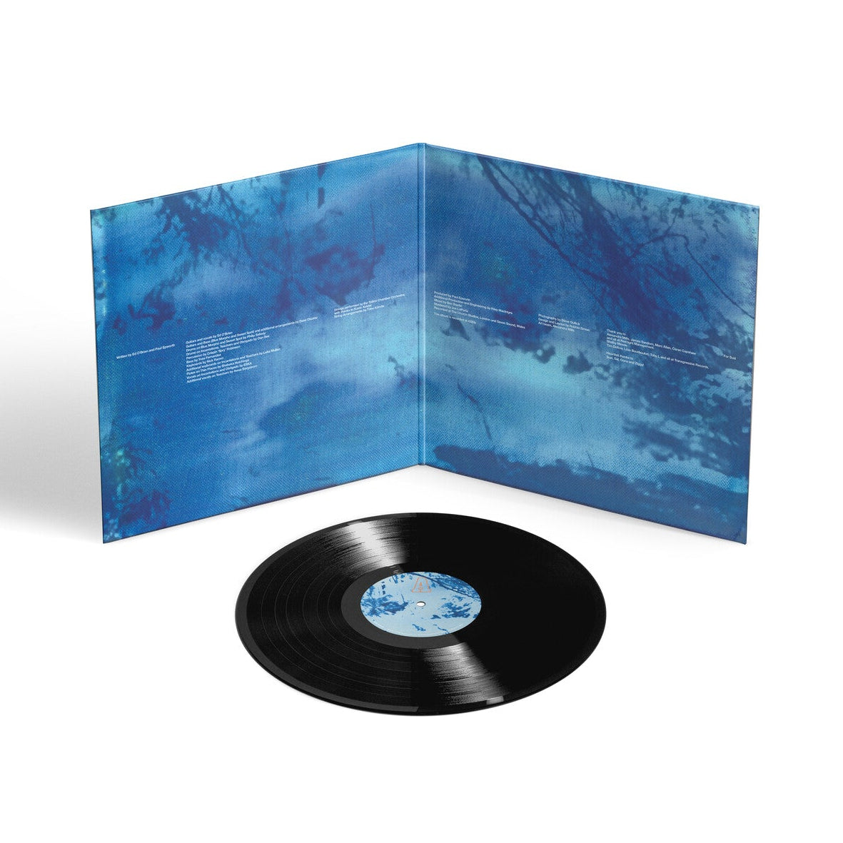 Ed O'Brien: Blue Morpho – Proper Music