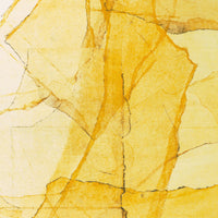 Wadada Leo Smith & Amina Claudine Myaers - Central Park's mosaic of reservoir, lake, paths and gardens - RH1005CD