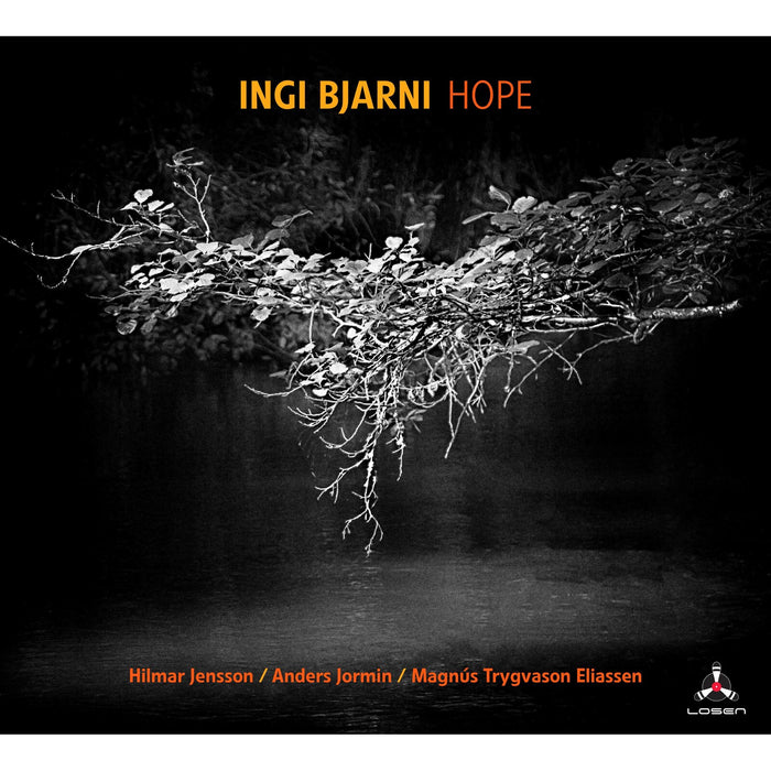 Ingi Bjarni - Hope - LOS2992