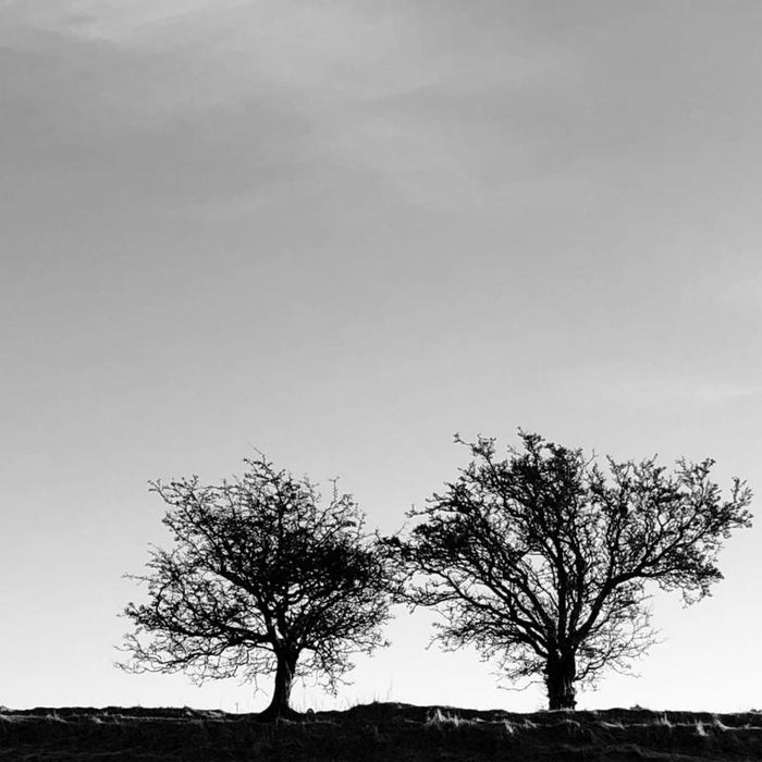 Jon Allen - A Heightened Sense of Everything