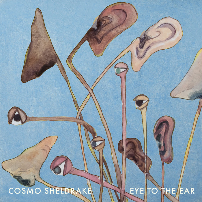 Cosmo Sheldrake - Eye To The Ear - TAR30