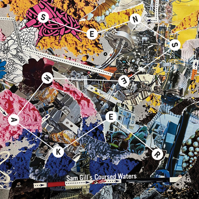 Sam Gill's Coursed Waters - Sensemaker - EAR113