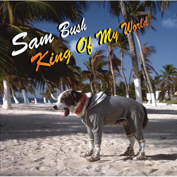 Sam Bush: King Of My World