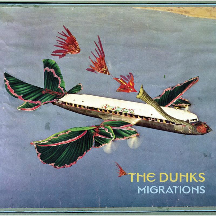 The Duhks: Migrations