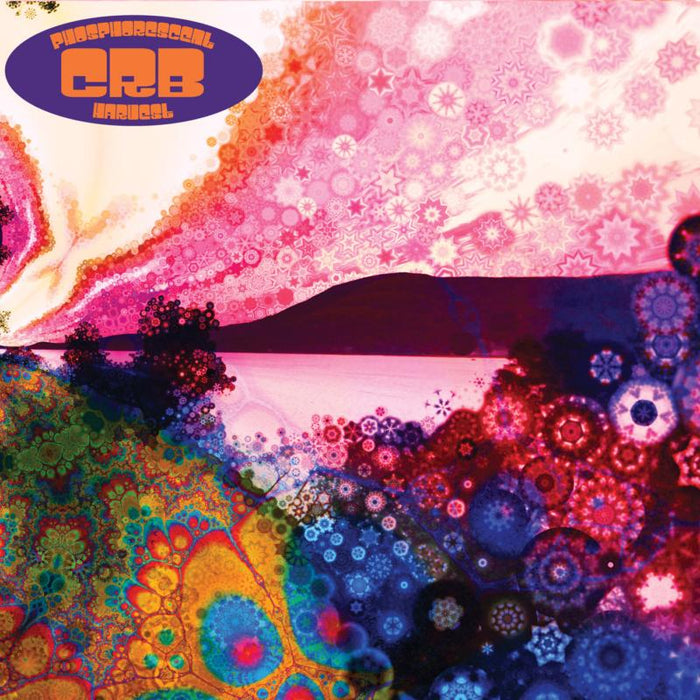 Chris Robinson Brotherh: Phosphorescent Harvest