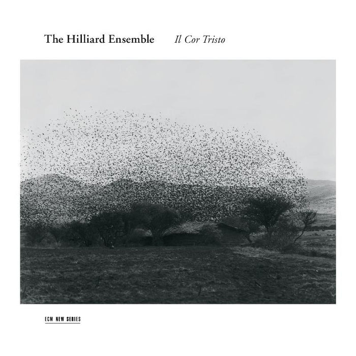 The Hilliard Ensemble - Il Cor Tristo - Roger Marsh, Bernardo Pisano & Jacques Arcadelt - 4810637