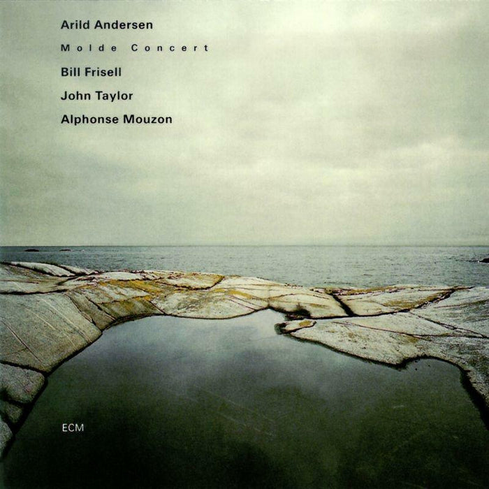 Arild Andersen - Molde Concert - 1594972