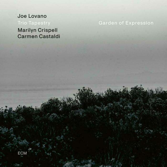 Joe Lovano - Garden of Expression - 3518721