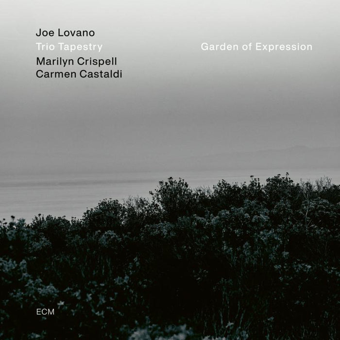 Joe Lovano - Garden of Expression - 3520638