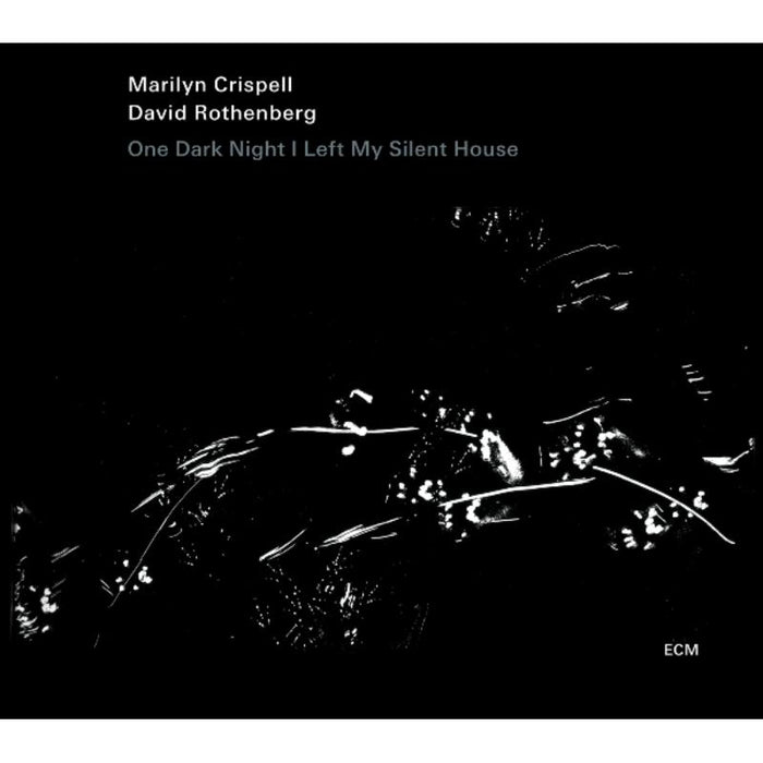 Marilyn Crispell & David Rothenberg - One Dark Night I Left My Silent House - 1799220