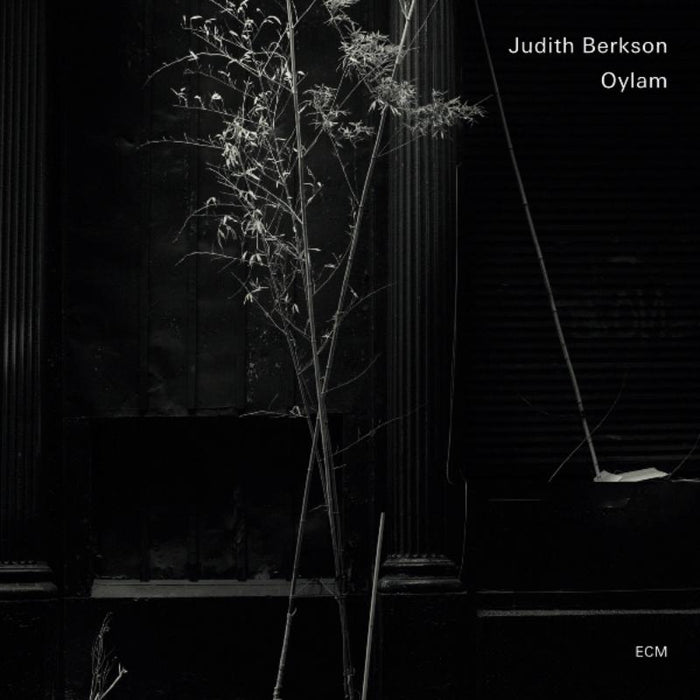 Judith Berkson - Oylam - 2718954