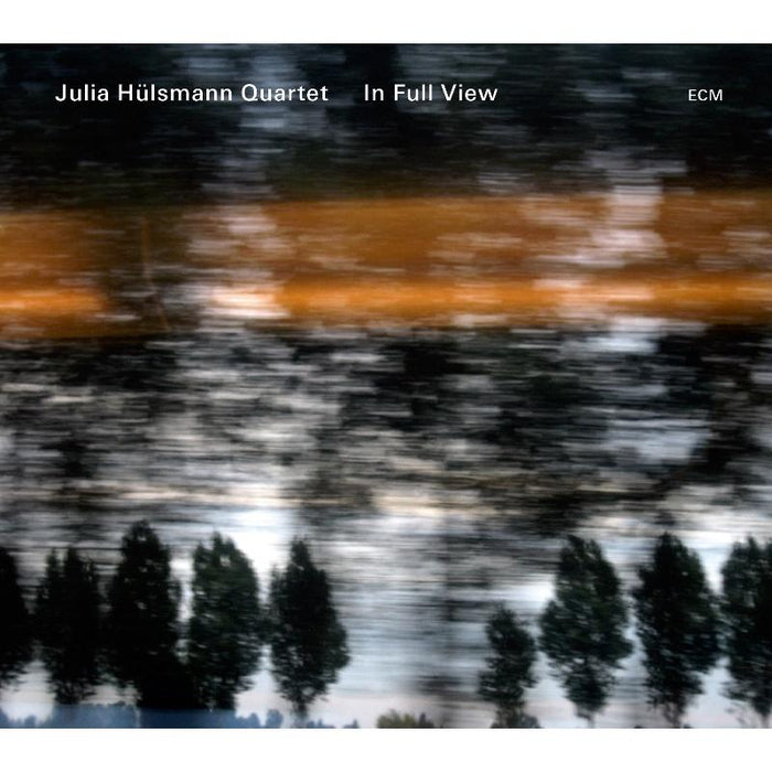 Julia Hulsmann Quartet - In Full View - 3717777