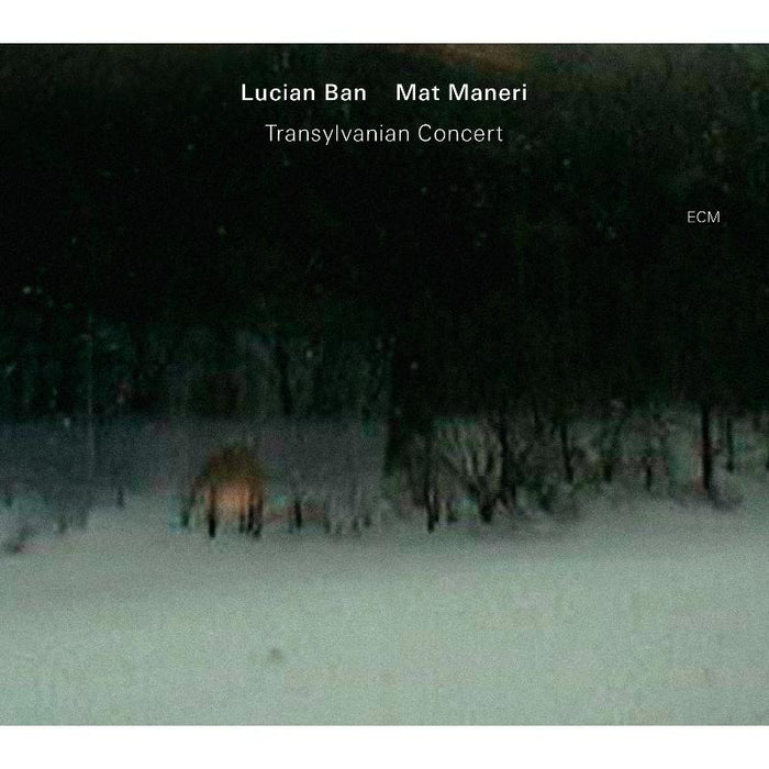 Lucian Ban & Mat Maneri - Transylvanian Concert - 3728258
