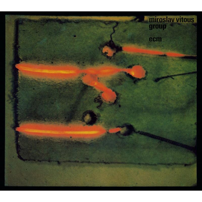 Miroslav Vitous Group - Miroslav Vitous Group (180g Vinyl) - 3743511
