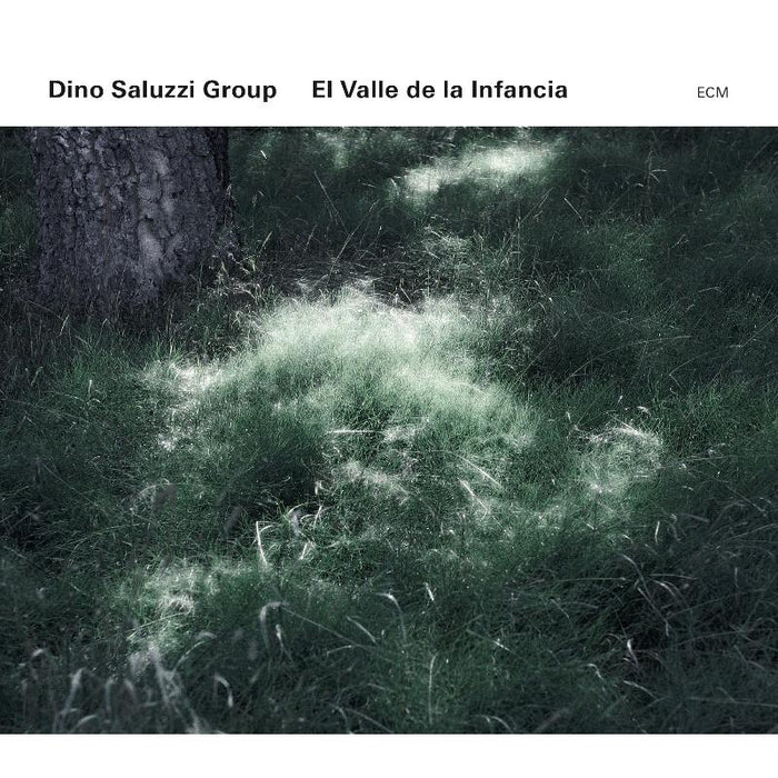 Dino Saluzzi Group - El Valle de la Infancia - 3770032