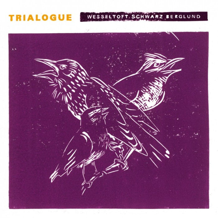 Bugge Wesseltoft, Henrik Schwarz & Dan Berglund: Trialogue