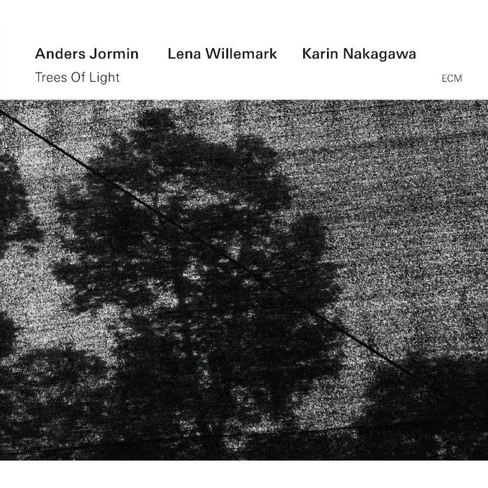 Anders Jormin, Lena Willemark & Karin Nakagawa: Trees of Light