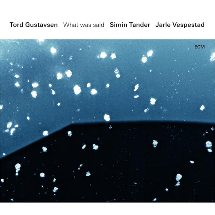 Tord Gustavsen, Simin Tander & Jarle Vespestad: What Was Said