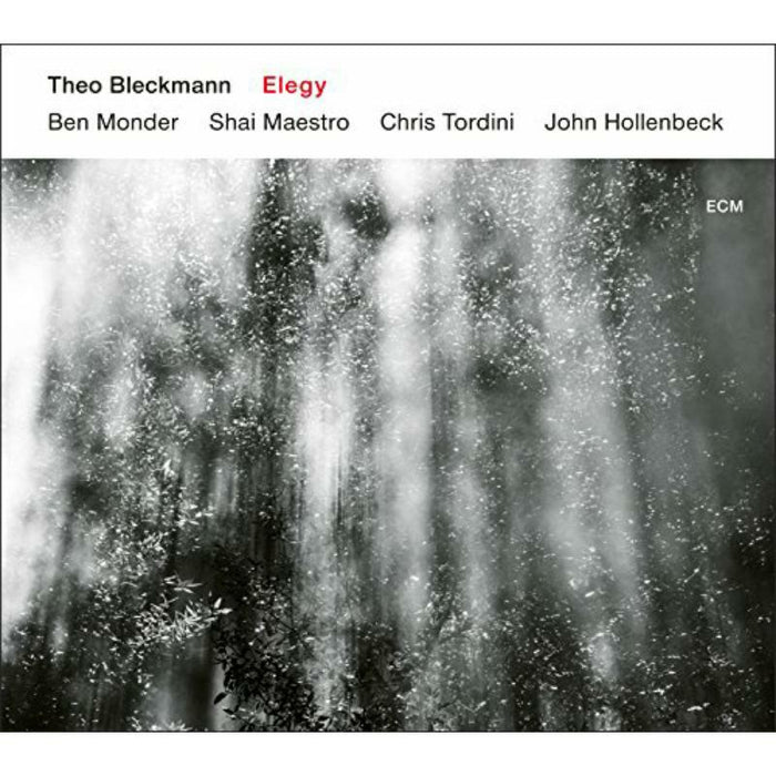 Theo Bleckmann - Elegy - 4799717