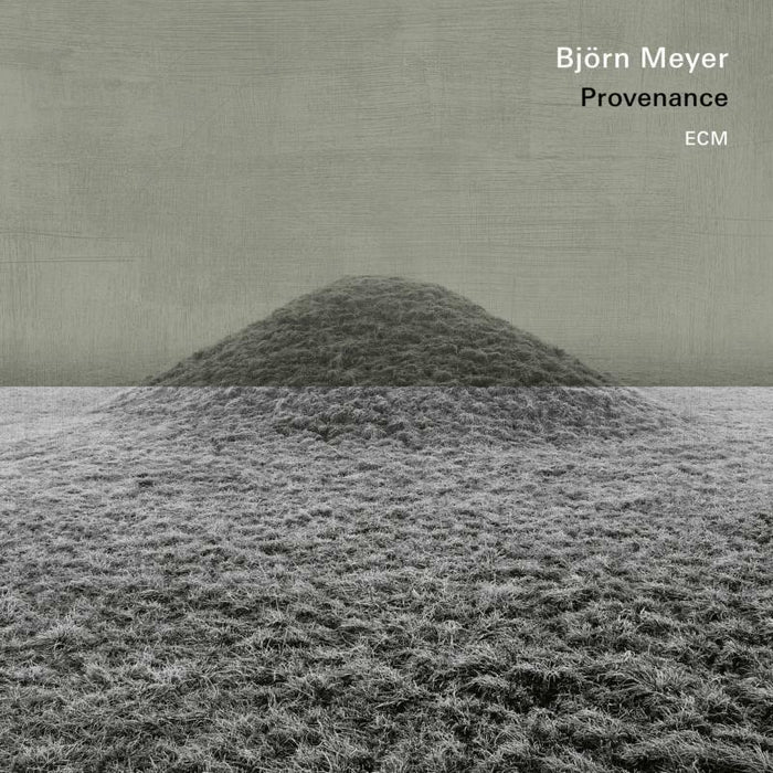 Bjorn Meyer - Provenance - 5768122