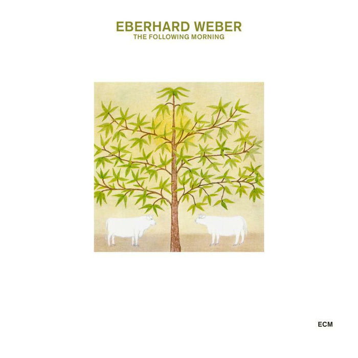 Eberhard Weber - The Following Morning - 6743101