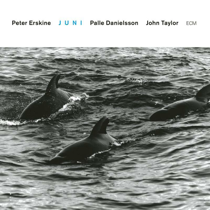 Peter Erskine Trio - Juni - 6743481