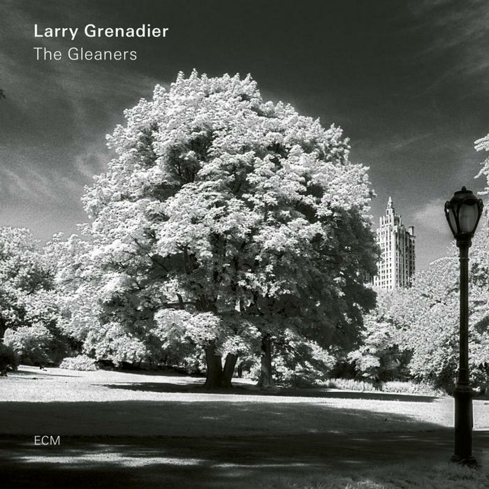 Larry Grenadier - The Gleaners - 6757841