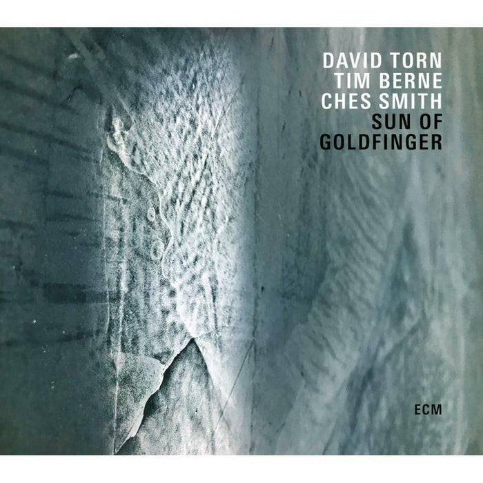 David Torn, Tim Berne & Ches Smith - Sun Of Goldfinger - 7731919