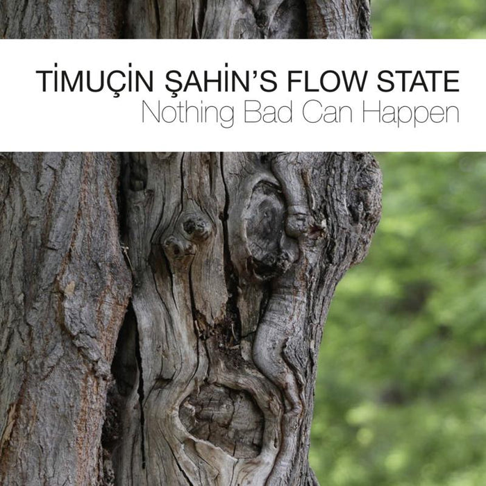 Timucin Sahin's Flow State - Nothing Bad Can Happen - BTLCHR71243