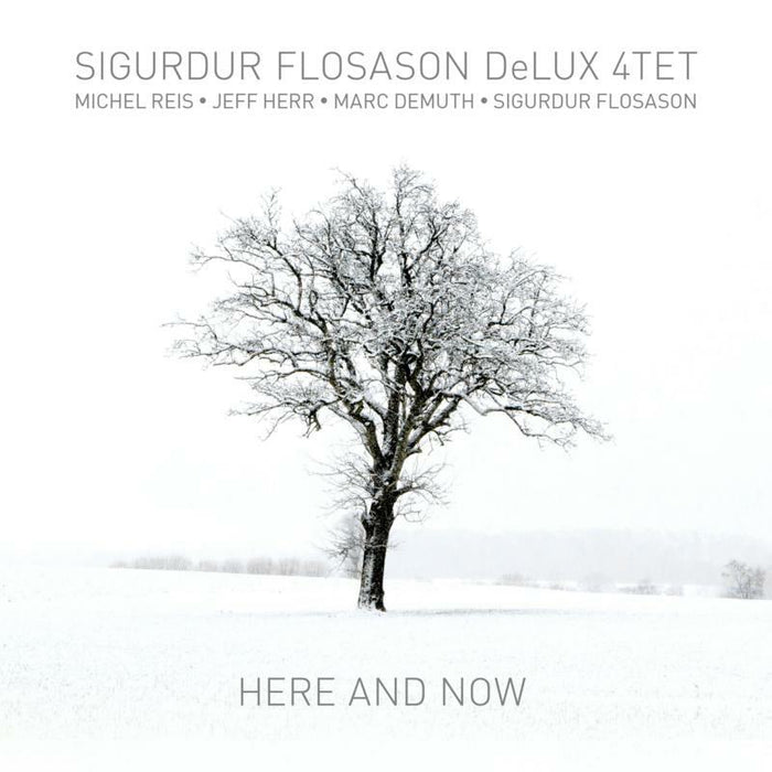 Sigurdur Flosason DeLux 4Tet - Here And Now - DMCHR71360