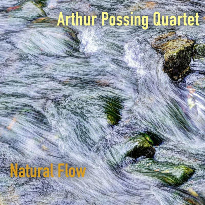 Arthur Possing Quartet - Natural Flow - DMCHR71391