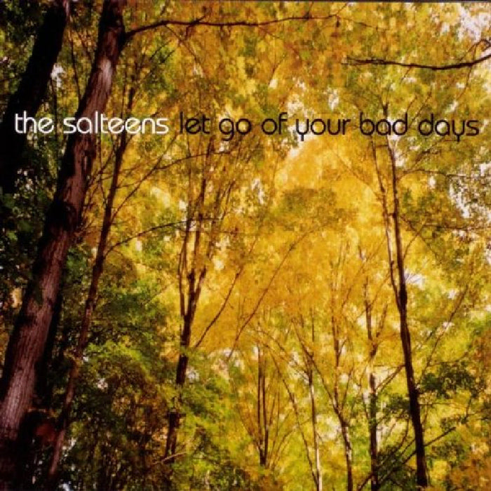 The Salteens: Let Go Your Bad Days